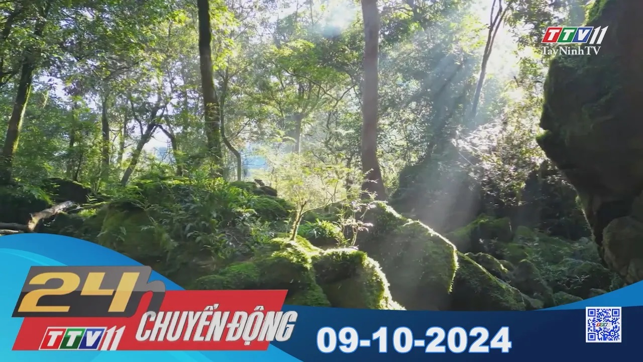 24h Chuyển động 09-10-2024 | Tin tức hôm nay | TayNinhTV